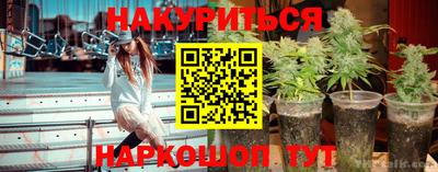 ГАЛЛЮЦИНОГЕННЫЕ ГРИБЫ Будённовск