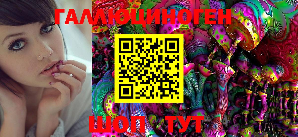 Псилоцибиновые грибы MAGIC MUSHROOMS Петрозаводск